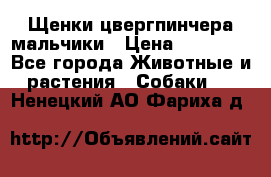 Щенки цвергпинчера мальчики › Цена ­ 25 000 - Все города Животные и растения » Собаки   . Ненецкий АО,Фариха д.